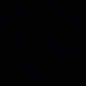 Meet your Posher, Raina